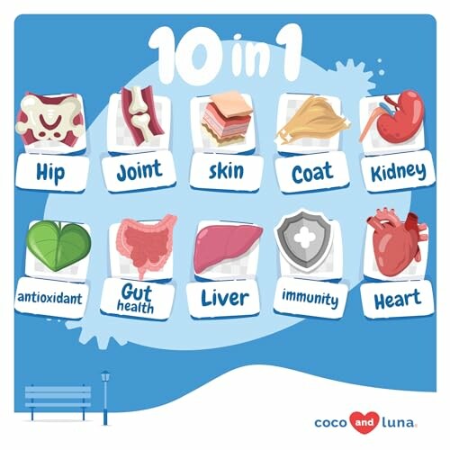 Illustration showing benefits of dog supplements: hip, joint, skin, coat, kidney, antioxidant, gut health, liver, immunity, heart.