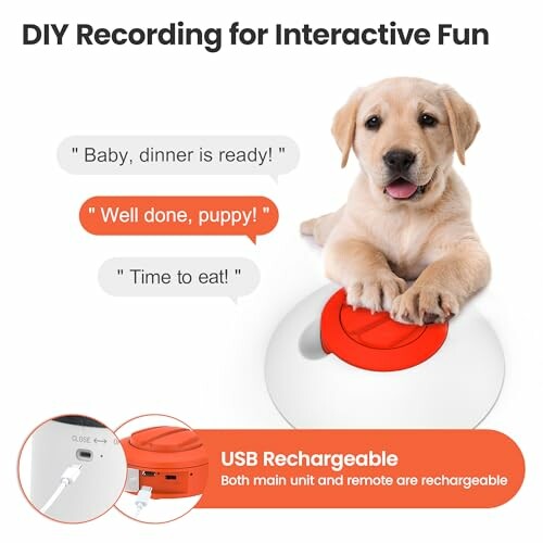 Puppy on interactive toy with recording capability and USB recharge feature.