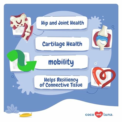 Illustration highlighting hip, joint, cartilage health, mobility, and connective tissue resilience benefits.